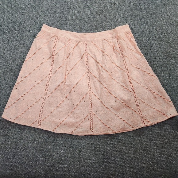 LOFT Dresses & Skirts - Loft Woman’s Lace Floral Embroidered Lined Cotton Skirt Light Pink Size 18 New